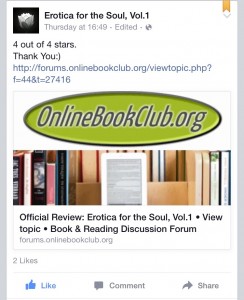 Official Review Erotica for the Soul, Vol.1 by RawrWoman.com